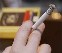 «شعبة الدخان»: 1.5 جنيه فقط الزيادة على علبة السجائر