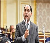 برلماني: العالم يعتبر ما يحدث في مصر من مشروعات إعجازاً غير مسبوق