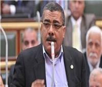 «رئيس صناعة النواب»: يجب العمل علي حل أزمة الشباك الواحد ومعوقات الاستثمار في مصر
