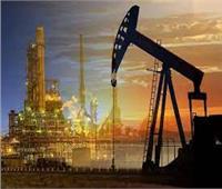 ننشر تقرير «البترول» لأسعار النفط العالمية اليوم 20 يونيو 2023