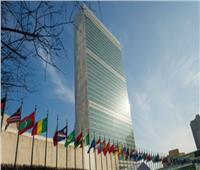 خبراء الأمم المتحدة: يجب إعطاء حق العودة للاجئين الفلسطينيين الأولوية