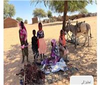 الأمم المتحدة: استمرار وصول المساعدات لمناطق مختلفة من السودان