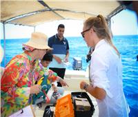 وزيرة البيئة: تدريب فريق عمل المحميات على دراسة سلوكيات أسماك القروش