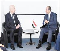 الرئيس لـ بن سعيد: دعم مصرى كامل لتونس وحريصون على تعزيز التعاون