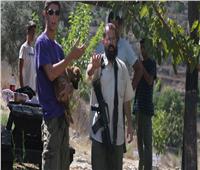 مستوطنون يعتدون مجددًا على الفلسطينيين في قرية شرم رام الله.. ويهدمون 6 خيام