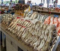 أسعار الأسماك اليوم في سوق العبور.. والبلطي يبدأ من 63 جنيها