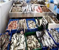 استقرار أسعار الأسماك بسوق العبور اليوم.. 27 يونيو
