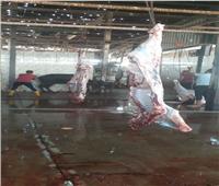 ذبح 10 رؤوس ماشية وتوزيعها على مستحقيها بمراكز ومدن  الإسماعيلية 
