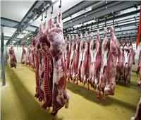 أول أيام العيد| «الطب البيطري» يكشف عن أعداد الماشية المذبوحة بمجازر الجيزة