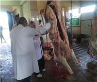 «بيطري الشرقـية» يشرف على ذبح 630 رأس ماشية وأغنام بالمجازر المعتمدة