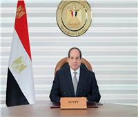 الدبلوماسية المصرية صمام أمان للأمة العربية على مدار 9 سنوات| تقرير