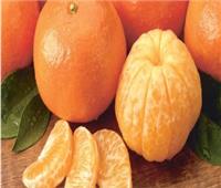 مصر تصدر برتقال ويوسفي وبصل بـ 169 مليون دولار 