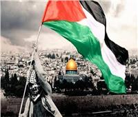 مصر تدعم القضية الفلسطينية عبر 3 مسارات