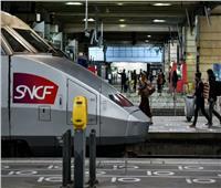 «قضية غريبة من نوعها» محكمة فرنسية تقاضي السكك الحديد الوطنية بسبب قطة 