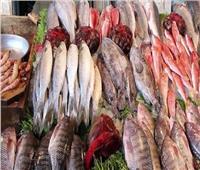 أسعار الأسماك بسوق العبور الجمعة 7 يوليو.. والبلطي يبدأمن 60 جنيه
