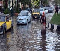 كيف تتصدى الإسكندرية لمياه الأمطار؟| فيديو