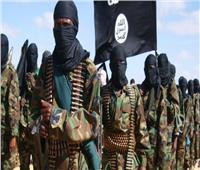 إرهاب «حركة الشباب» يعبر من الصومال إلى كينيا