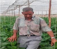 وكيل وزارة الزراعة بأسيوط يتابع زراعات خيار الصوب بقرية بني مر 