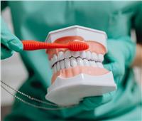 «أوراق شجر الجوافة».. أبرز الخطوات الفاعلة لتخفيف حدّة الألم الأسنان