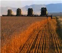 تقرير أممي يكشف عن خسائر أوكرانيا حال توقف «صفقة الحبوب»
