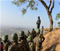 متمردون يقتلون 10 مدنيين في منطقة انفصالية في الكاميرون