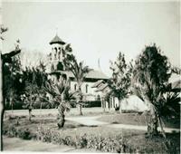 عمرها أكثر من 150 عامًا.. حكاية «حدائق الملاحة» بالإسماعيلية‎