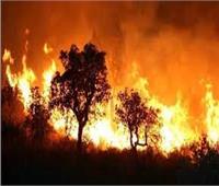بولندا ترسل فرق إطفاء لمساعدة اليونان على احتواء حرائق الغابات