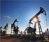 وزير البترول: معظم إنتاج مصر من الغاز يستخدم محليًا خلال أشهر الصيف 
