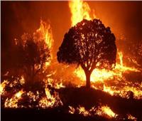 اشتعال الحرائق في غابات اليونان.. واقتراب النيران من العاصمة