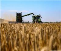 برنامج الأغذية العالمي: المنطقة ستتأثر بتعليق اتفاق الحبوب