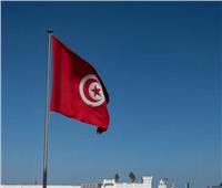 تونس: انخفاض كبير في الحرائق التي طالت الغابات خلال العام الحالي