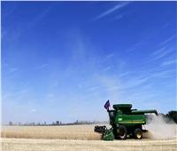 أوكرانيا تُعلن انخفاض صادراتها الغذائية 30% بعد إنهاء صفقة الحبوب