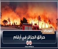 إنفوجراف| حرائق الجزائر في أرقام