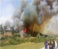 تحطم طائرة طوارئ أثناء مشاركتها في عمليات إطفاء حرائق الغابات باليونان