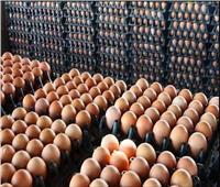 انخفاض أسعار البيض  فى الأسواق اليوم 26 يوليو