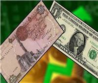 استقرار أسعار صرف الدولار مقابل الجنيه المصري ببداية تعاملات الأربعاء 26 يوليو