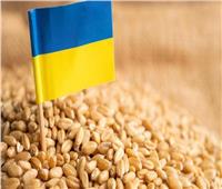 أوكرانيا تخطط لتصدير أكثر من 50 مليون طن من الحبوب عبر طرق بديلة