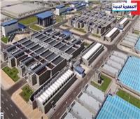 أستاذ استثمار: الدولة قضت على الإرهاب وفتحت طريق التنمية بسيناء 