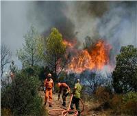 حرائق الغابات تلتهم المزارع والمصانع في جميع أنحاء اليونان