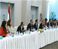 3 وزراء يستعرضون خطط إنتاج الطاقة المتجددة والهيدروجين الأخضر في مصر
