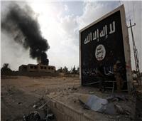 مقتل قائد تنظيم داعش الإرهابي بمحافظة إدلب