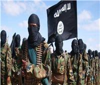 إرهابيو «داعش» ينصبون كمينا لقوات جيش مالي بالقرب من حدود النيجر