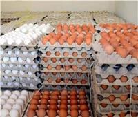 أسعار البيض اليوم السبت 5 اغسطس