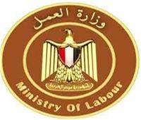 وزارة العمل: تدريب مهني على صناعة «المالتي ميديا» لشباب الإسكندرية