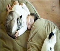 قبل اليوم العالمي للقطط.. مناصب فخرية للحيوانات الأليفة في اليابان
