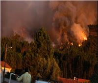 المئات من عناصر الإطفاء يكافحون حرائق الغابات بالبرتغال