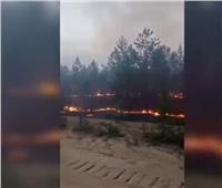 شاهد| رجال الإطفاء يكافحون الحرائق المستعرة في أقصى الشرق الروسي