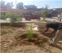 محافظ المنوفية يتابع تنفيذ أعمال المبادرة الرئاسية " 100 مليون شجرة "  بالمراكز والمدن