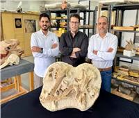  اكتشاف «حوت» عاش قبل 41 مليون عام في الفيوم 
