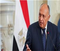وزير الخارجية يستقبل نظيره السوري بالقاهرة.. غدًا 